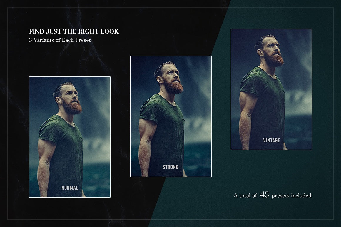 Artist's Amazing Preset Collection (Volume I)