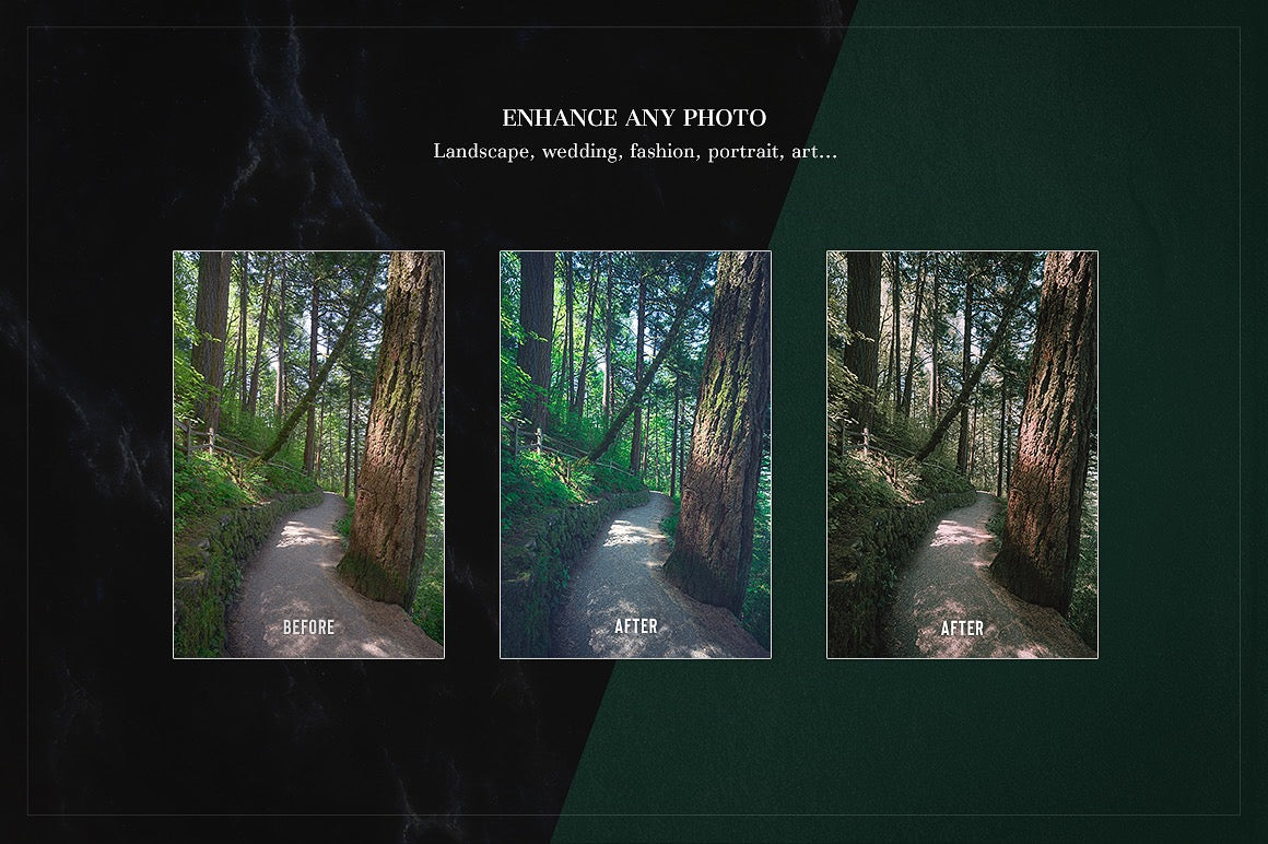 Artist's Amazing Preset Collection (Volume I)