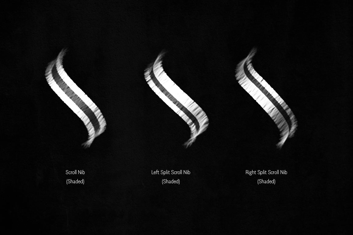 The Bewitched Blackletter Brush Collection
